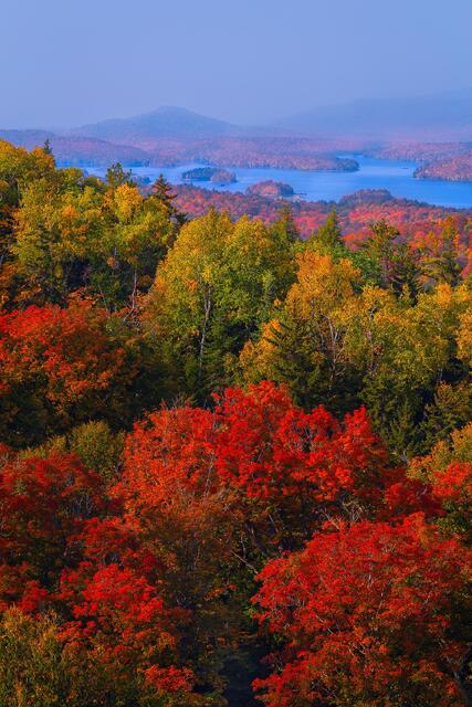 Autumn Riches print