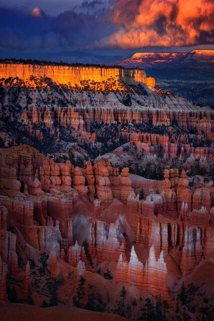 Bryce's Beauty print