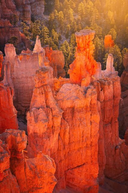 Hoodoo Glow print