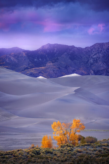 Dunes at Dusk print