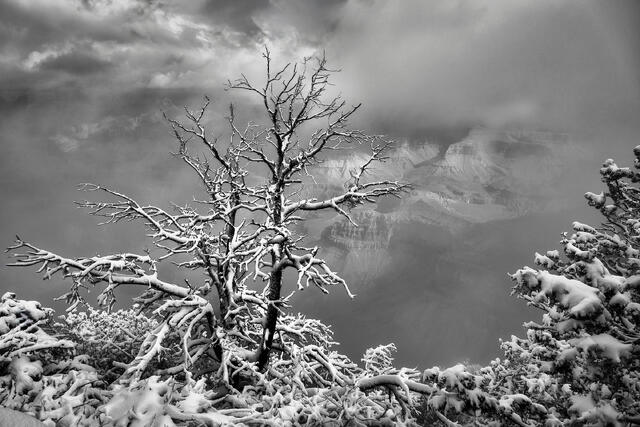 Precipice  print