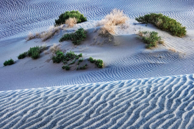Sand Trap print