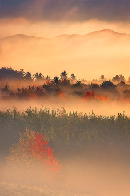 Layers of Light print