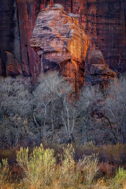 The Soft Light Of Winter print