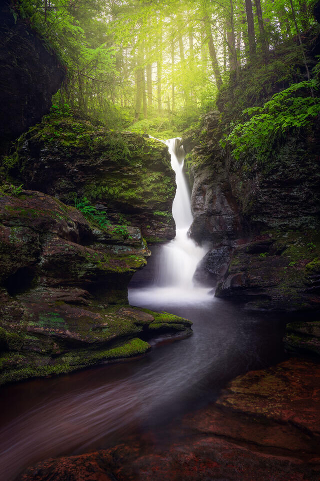 A waterfall in Ricketts Glen State Park on a quiet spring morning.