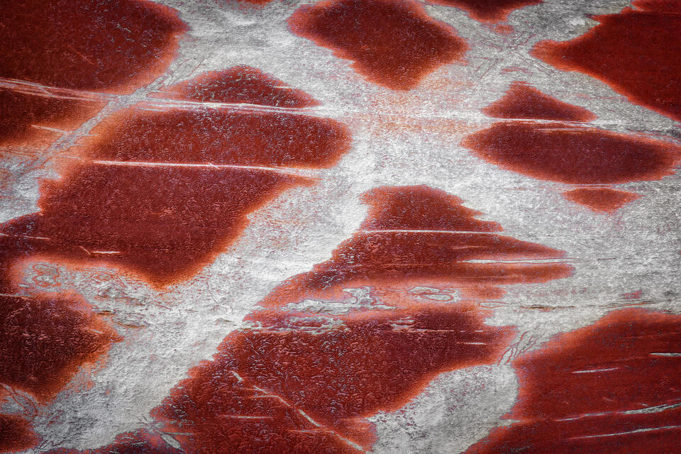 A detailed view of the striped stone deep within the Hopi Lands of Arizona.