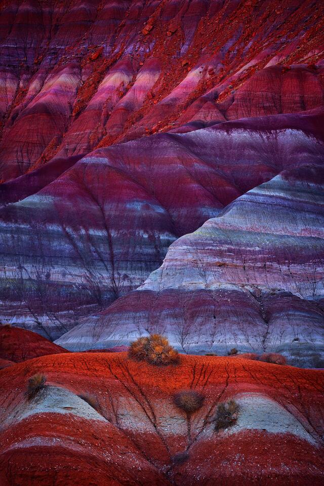 The presence of various minerals in bentonite clay can lead to some incredibly colorful layers of badlands.
