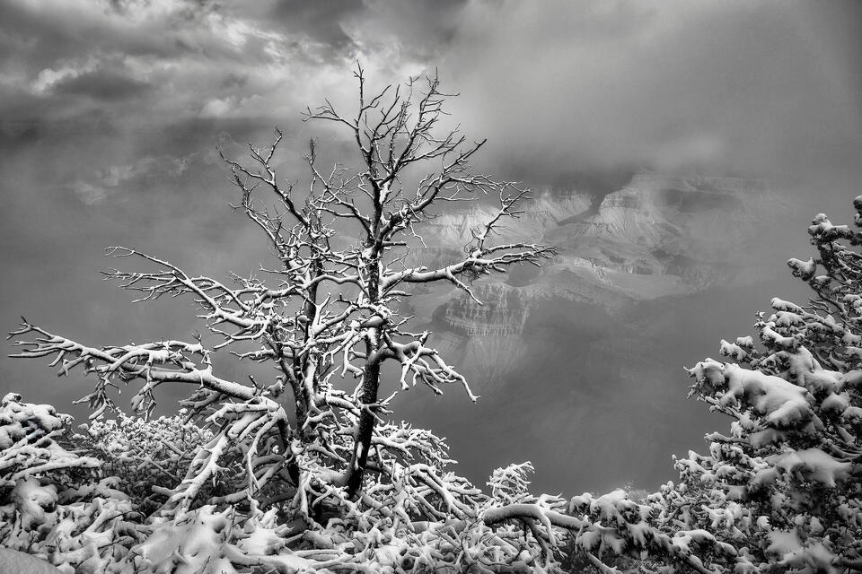 Snow graces the edge of the Grand Canyon as the storm begins to clear and gradually reveal the canyon below.