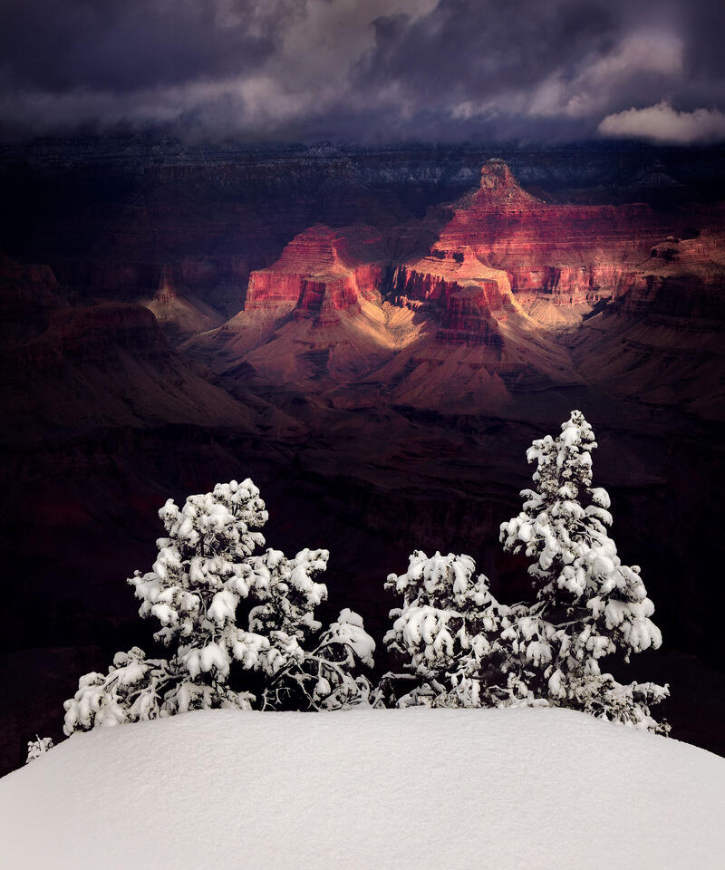 A sea of darkness divides snowy evergreens at the edge of the Grand Canyon from the sunlit rock formations far in the distance.
