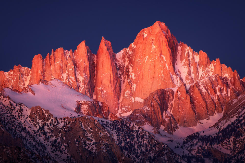 Alpenglow illuminates Mount Whitney, the highest mountain in the Lower 48 at 14,505 feet, on a cold and clear winter morning in California's Alabama Hills.