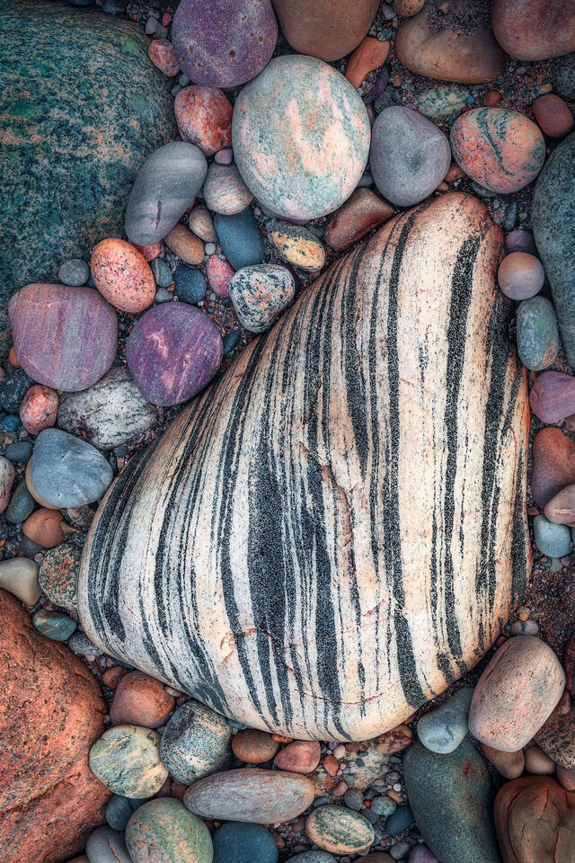 Colorful stones surround a boulder striped like a tiger on the coast of Newfoundland.