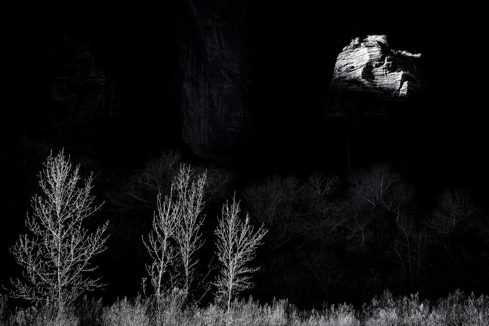 The sunlit tip of the Pulpit in Temple of Sinawava, along with a few bare trees, stands out from the shadows of Zion Canyon.