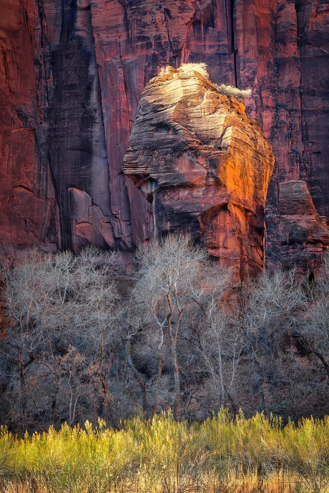 The Pulpit rock formation and the winter vegetation below it enjoy their last light of the day.