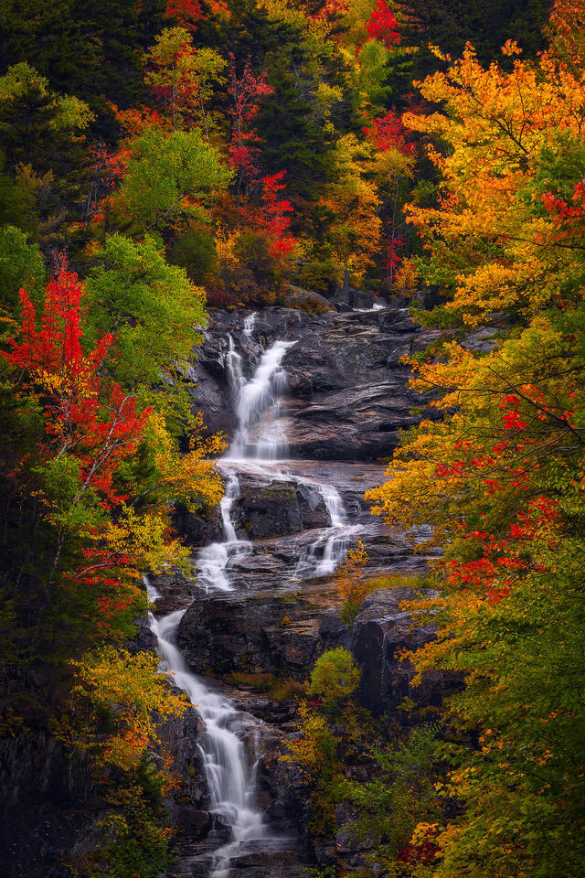 Fall Foliage frames a waterfall in New Hampshire's White Mountains.