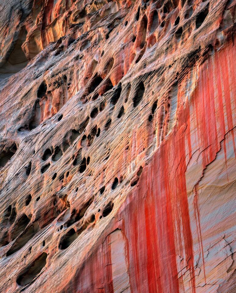Beautiful desert varnish that’s so red it resembles blood spills down a canyon wall in Utah’s Zion National Park.
