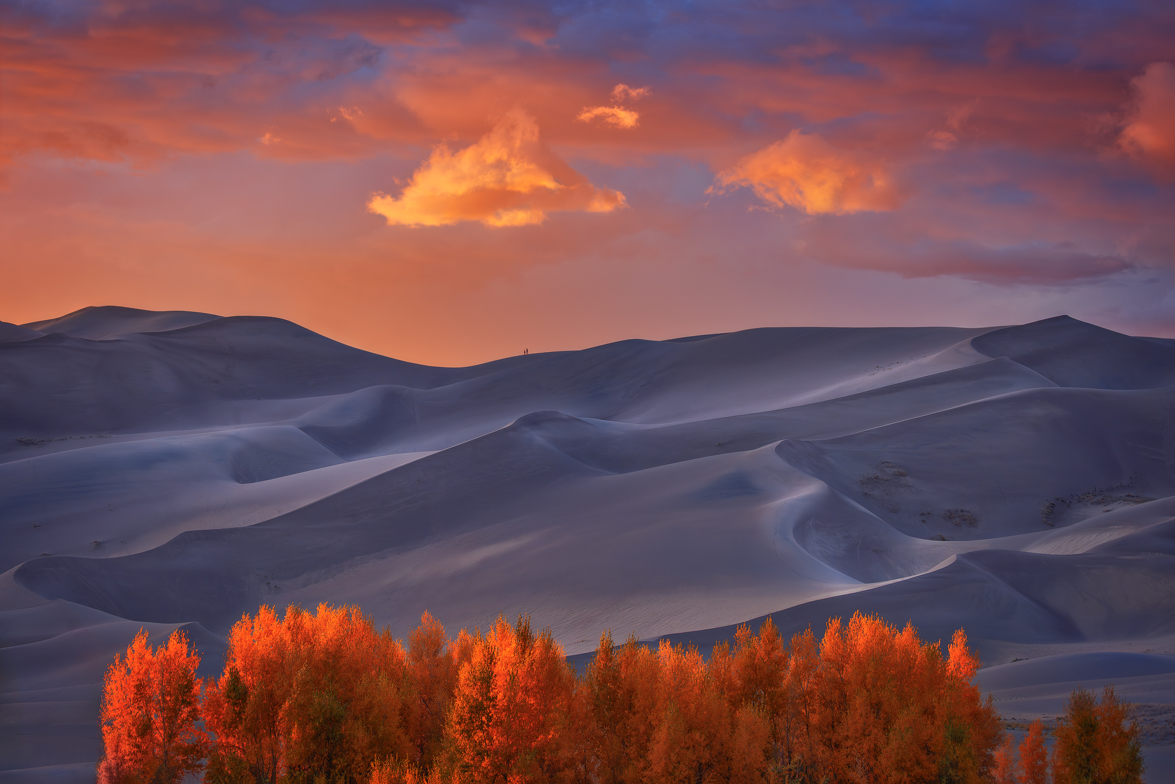 Sunset on the Dunes Fall foliage and a dramatic sunset frame the sand dunes of Colorado's Great Sand Dunes National Park as two hikers trek along the crest of the dunes.