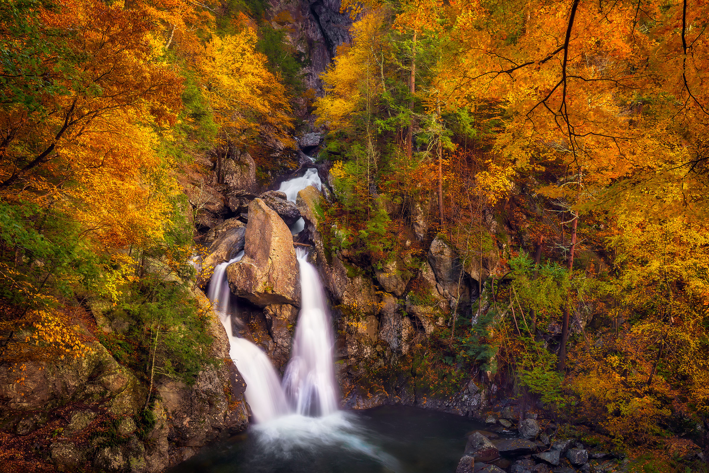 Honey Hole Autumn foliage glows from the evening light in the Taconic Mountains.