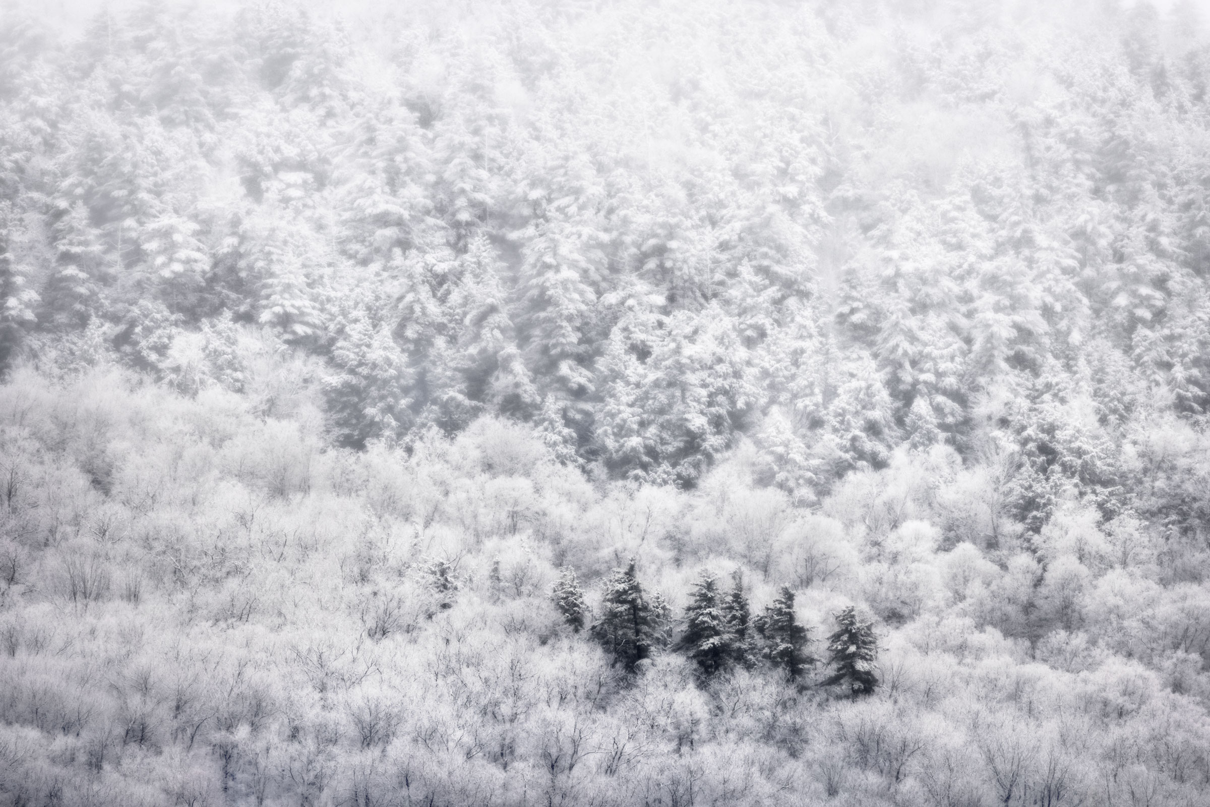 A Snowy Dream Snow covered mountainside in Lake George, New York.
