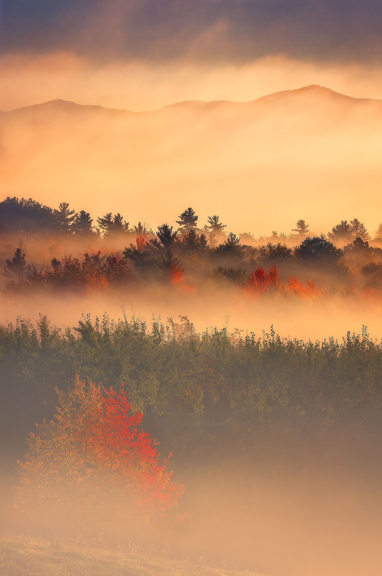 Layers of Light Clearing fog and autumn colors are visible during sunrise in New Hampshire's White Mountains.
